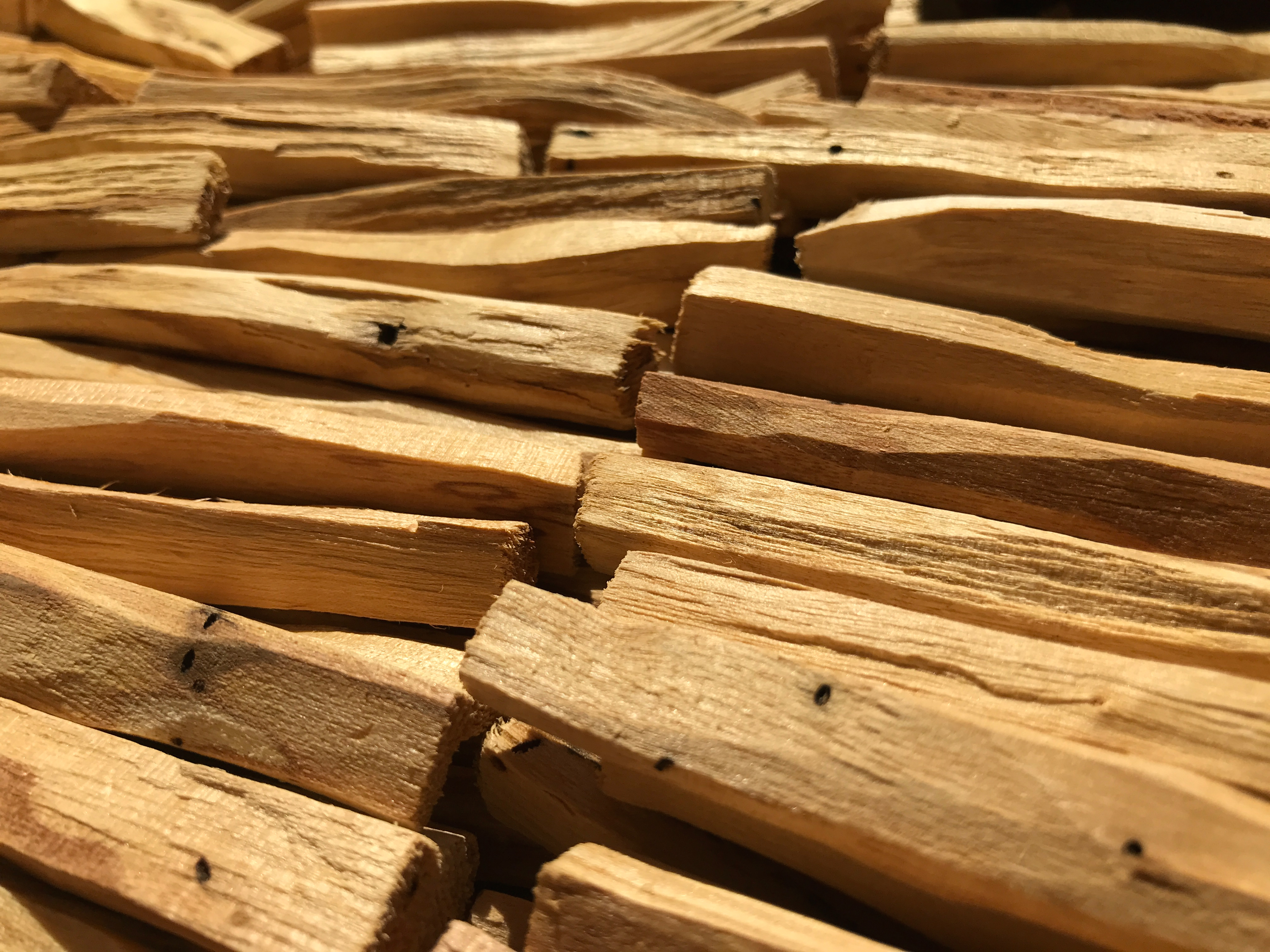 Palo Santo, Ecuador, Bio